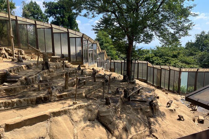 Tokyos Mt. Takao Hike - FAQs