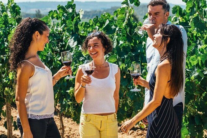 Toledo City Tour, Winery Experience & Wine Tasting from Madrid - The Winery Experience: A Unique Oenotourism Journey
