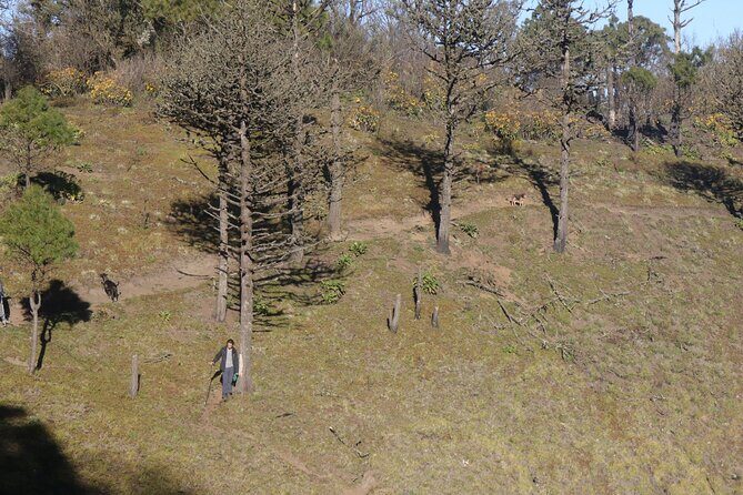 Toliman Volcano Hike - FAQs about the Toliman Volcano Hike