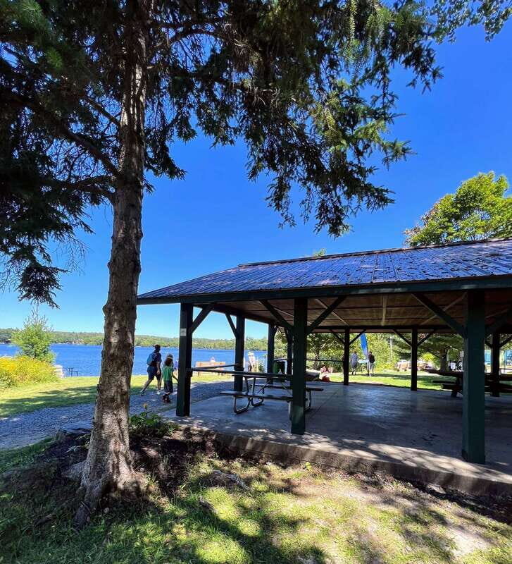 Tom Thomson Mystery Walking Tour with Smartphone App - Detailed Breakdown of the Experience