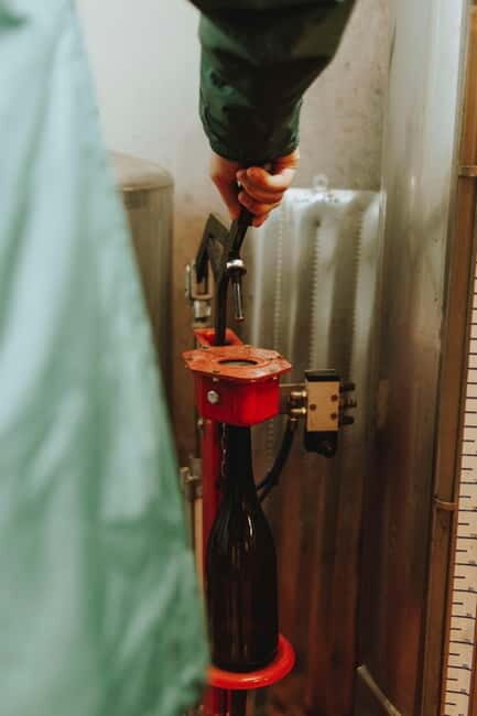 Tomar: Learn About Winemaking with a Tasting - Who Will Enjoy This Most?