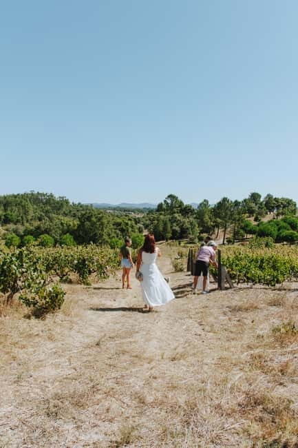Tomar: Lunch among the vineyards - An In-Depth Look at Tomar’s Wine and Vineyard Experience