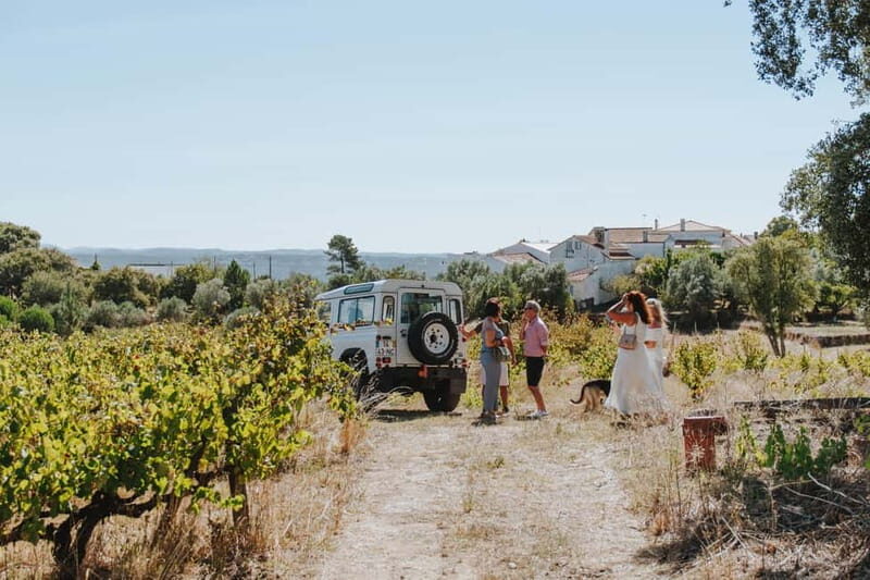 Tomar: Vineyard Tour with Tastings - What to Expect During the Tour