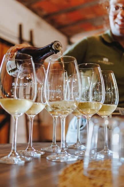 Tomar: Vineyard Tour with Tastings - Tasting and Regional Products