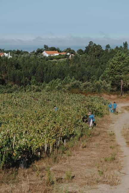 Tomar: Wine Picnic for Two - Key Points