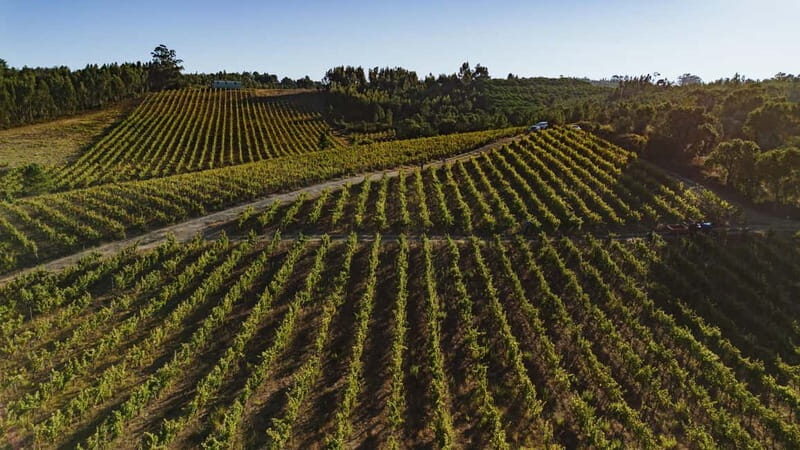 Tomar: Wine Picnic for Two - FAQ