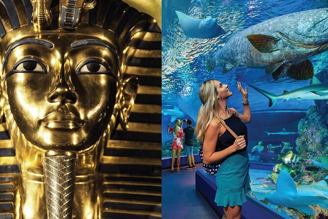 Tomb of the Pharaohs and Cairns Aquarium Combo - A Detailed Look at the Combo Tour