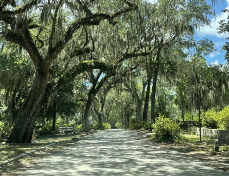 Tombs of Savannah: Bonaventure Cemetery Experience - Tombs of Savannah: Bonaventure Cemetery Experience — An In-Depth Review