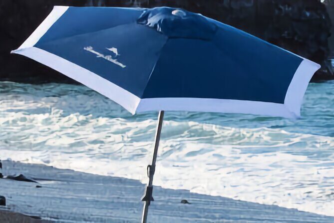 Tommy Bahama Beach Equipment Rental Essentials - A Practical Look at the Beach Essentials Rental Experience