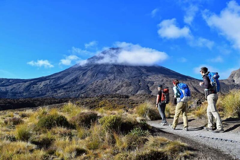 Tongariro Alpine Half Day Guided Group Walk - A Detailed Look at the Tongariro Alpine Half Day Guided Group Walk