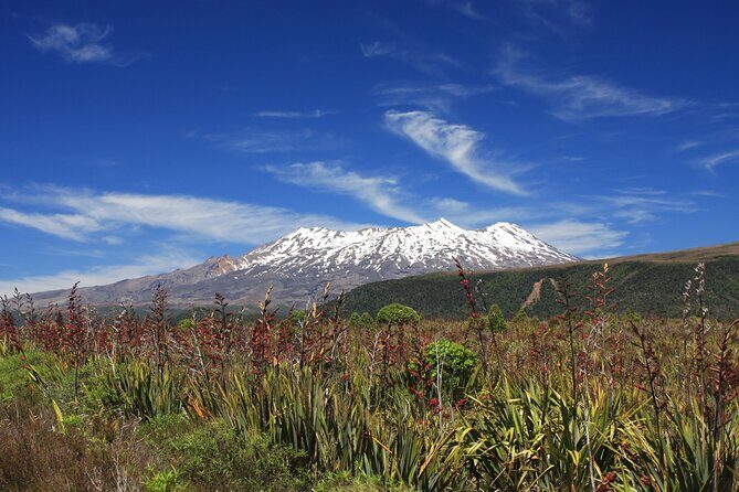 Tongariro Discovery Walk - Frequently Asked Questions (FAQs)