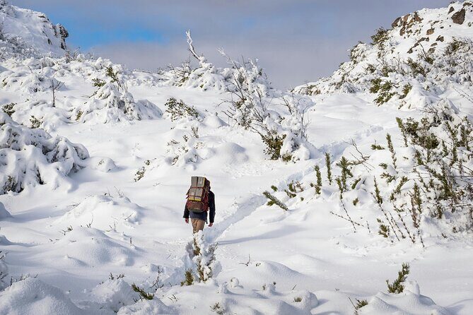 Tongariro National Park Northern Explorer Train and Snowshoeing - Authentic Traveler Perspectives