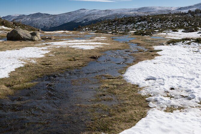 Tongariro National Park Northern Explorer Train and Snowshoeing - Who Will Enjoy This Tour?
