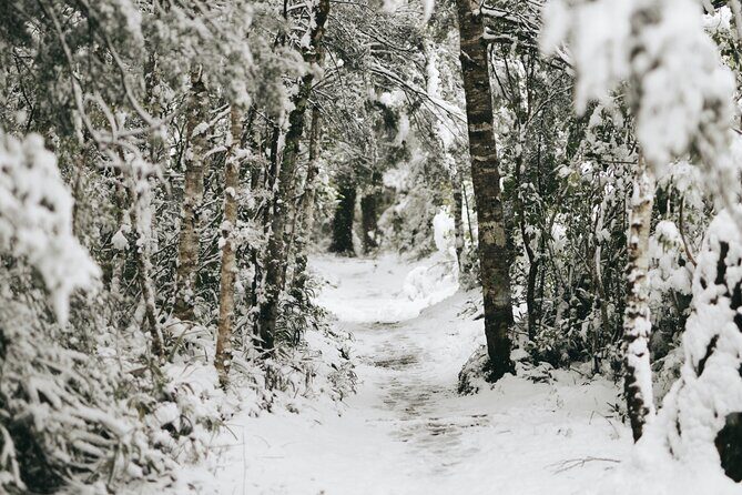 Tongariro National Park Northern Explorer Train and Snowshoeing - Frequently Asked Questions