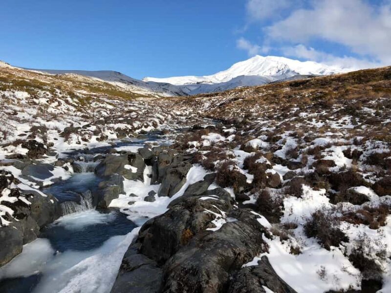 Tongariro National Park: Pre-Sunset Guided Walking Tour - In-Depth Review of the Tongariro Pre-Sunset Guided Walk