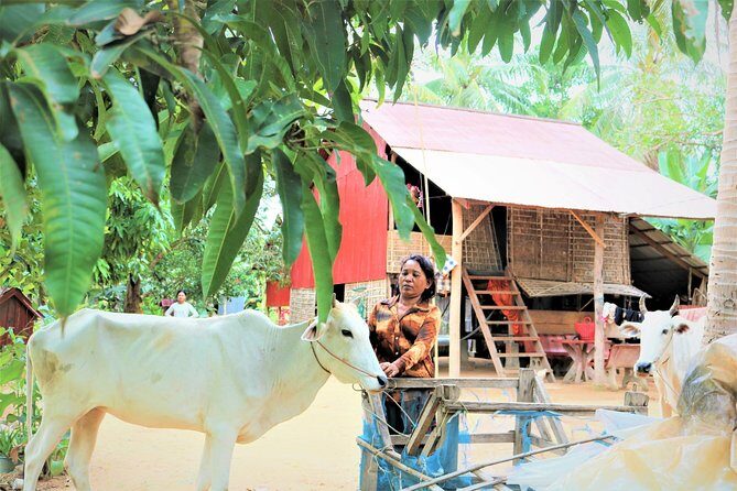 Tonle Sap Lake - Fishing Village & Flooded Forest - In Summary