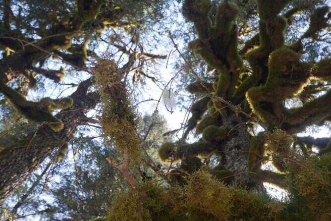 Tonsina Beach Hike with Seward Guided Hikes - FAQs
