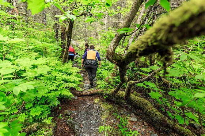 Tonsina Point Kayak and Exploration - Conclusions: Is This Tour for You?