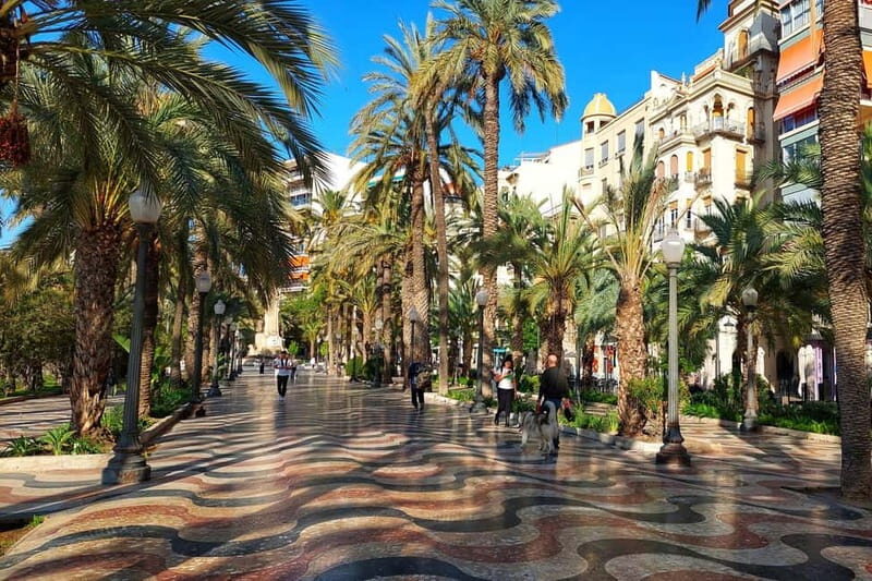 Top 10 Alicante: history, flavor, and charm - Practical Details & Value