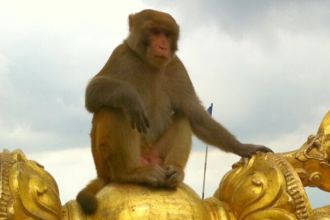 TOP 4 UNESCO World Heritage Sites Tour - FAQs