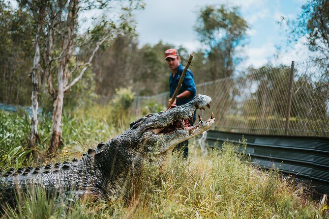 Top End Safari Camp Day Tour - Who Should Consider This Tour?