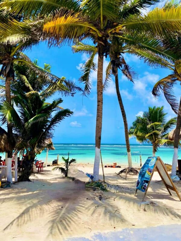 Top Experience: Costa Maya Beach Club Full-Day Pass - Authentic Experiences and Practical Details