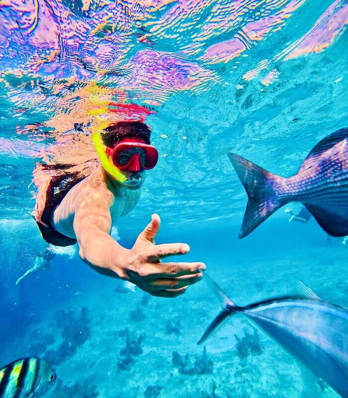 Top Experience: Snorkel & Beach Club All Inclusive / Open Bar & Lunch - Key Points