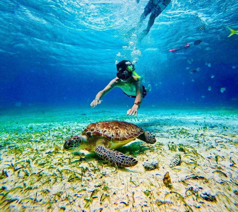 Top Experience: Snorkel & Beach Club All Inclusive / Open Bar & Lunch - The Guided Snorkeling Experience