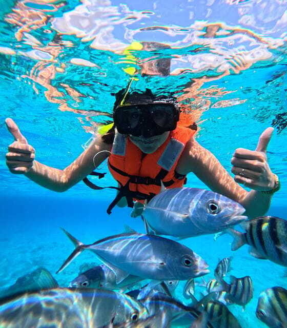 Top Experience: Snorkel & Beach Club All Inclusive / Open Bar & Lunch - The Open Bar and Lunch