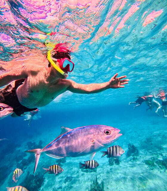 Top Experience: Snorkel & Beach Club All Inclusive / Open Bar & Lunch - Who Would Love This Tour?