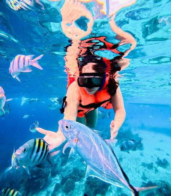 Top Experience: Snorkel & Beach Club All Inclusive / Open Bar & Lunch - FAQs