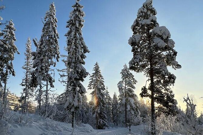 Top of Oslo Snowshoe Tour - Authenticity and What You’ll Take Away