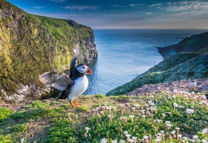 Top Of The Highlands Tour: John O' Groats, Caithness & More - Practical Details for Planning Your Day