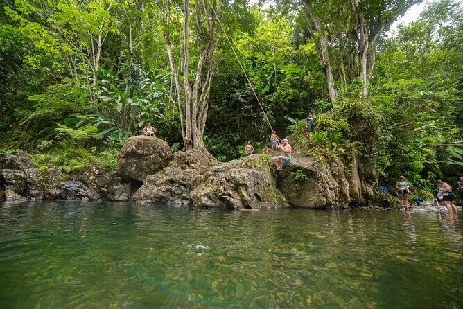 Top Rated El Yunque Rainforest & Waterslide SmallGroup Tour - A Deep Dive into the El Yunque Rainforest Tour