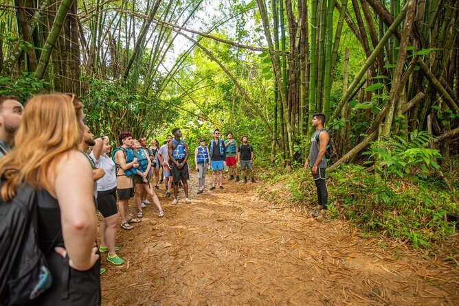 Top Rated El Yunque Rainforest & Waterslide SmallGroup Tour - In Closing