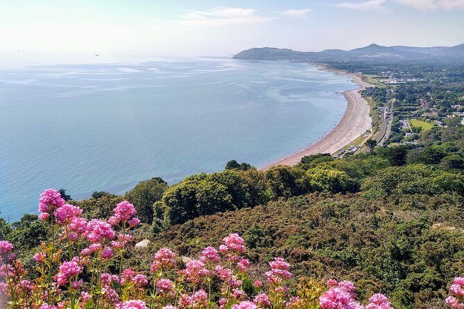 Top-Rated Walking Tour of Scenic Coastal Dublin (Dun Laoghaire) - Why This Tour Offers True Value