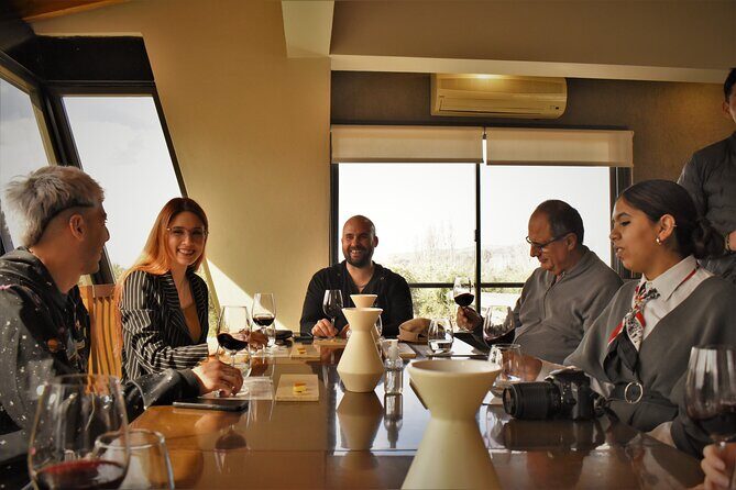 Top Rated: Winery Tour with Lunch in Mendoza - Key Points