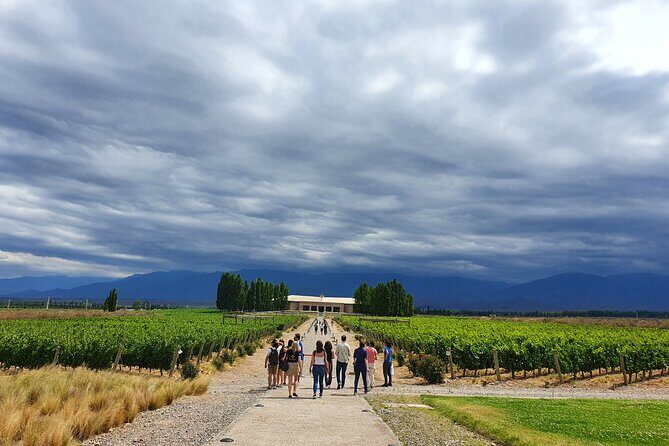 Top Rated: Winery Tour with Lunch in Mendoza - Who Should Consider This Tour?