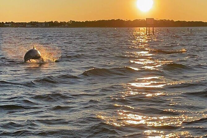 Top Shelf Tikis- Sunset Cruise 1.5hr - Experience the Best of Destin on the Top Shelf Tikis Sunset Cruise