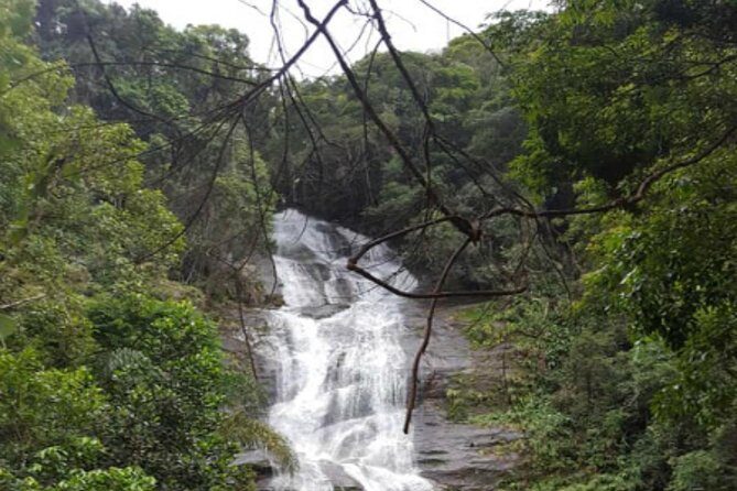 Top Tijuca Forest Private Tour with Botanical Garden - Key Points