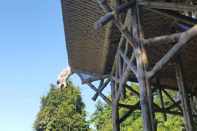 Top Tijuca Forest Private Tour with Botanical Garden - In-Depth Review of the Top Tijuca Forest Private Tour