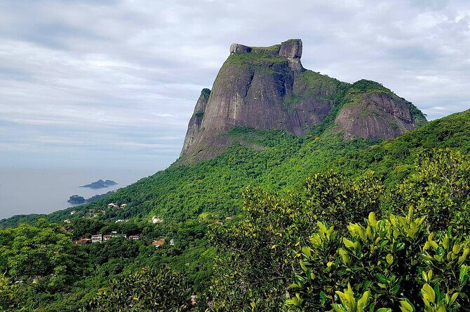 Top Tijuca Forest Private Tour with Botanical Garden - The Transportation and Guide Experience