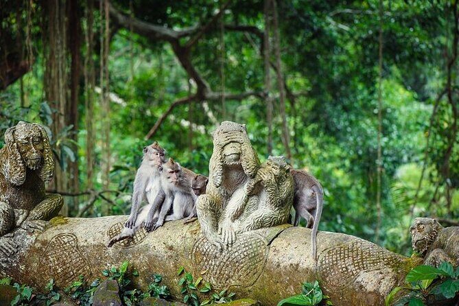 Top Ubud Attractions: Private Full-Day Guided Tour - Who Will Love This Tour?