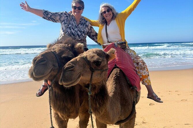 Top VIP Private Tour of Tangier from Estepona All Inclusive - A Detailed Look at the Experience