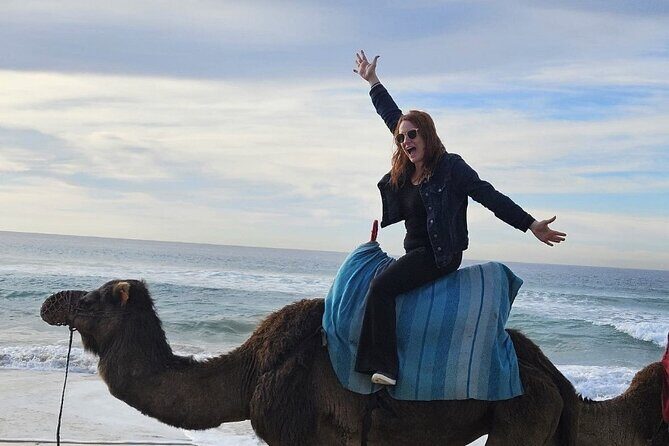 Top VIP Private Tour of Tangier from Estepona All Inclusive - Final Thoughts