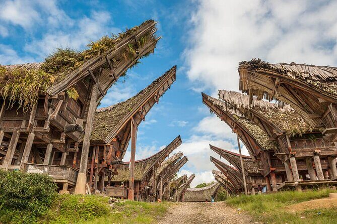 Toraja Highlight 3 Days - Key Points