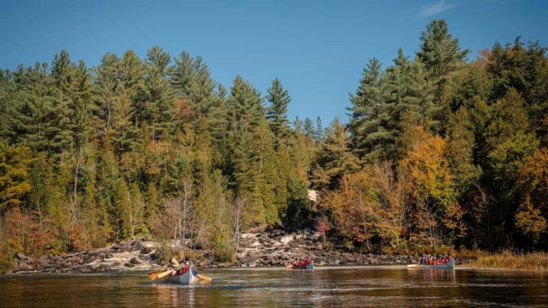 Toronto: Algonquin Park and Ragged Falls Day Trip - Key Points