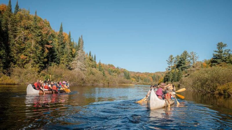 Toronto: Algonquin Park and Ragged Falls Day Trip - A Deep Dive into the Toronto: Algonquin Park and Ragged Falls Day Trip