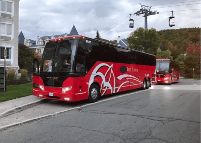 Toronto and Niagara Falls: Full-Day City and Nature Tour - Who Would Love This Tour?