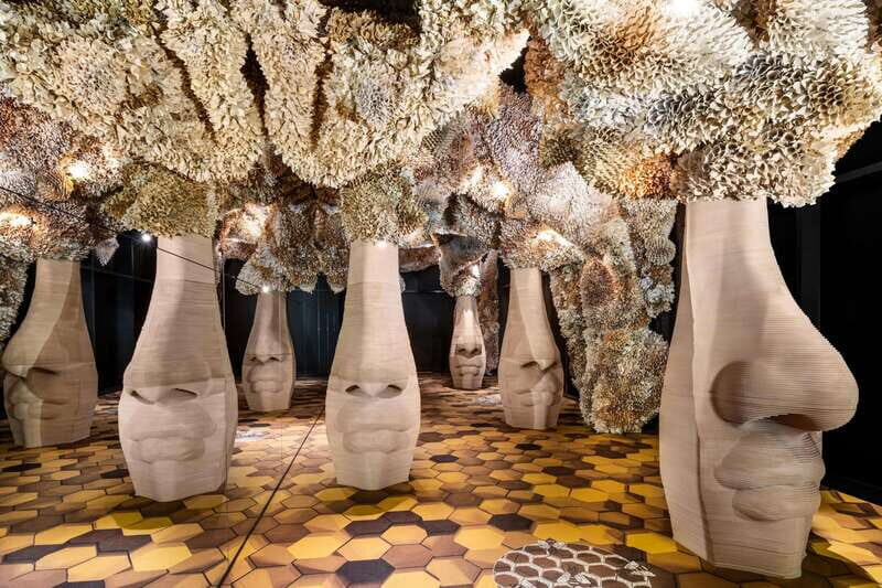 Toronto: Arcadia Earth, Immersive Experience Anytime Ticket - A First Glimpse: What You Need to Know